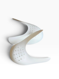 Sneaker shield L
